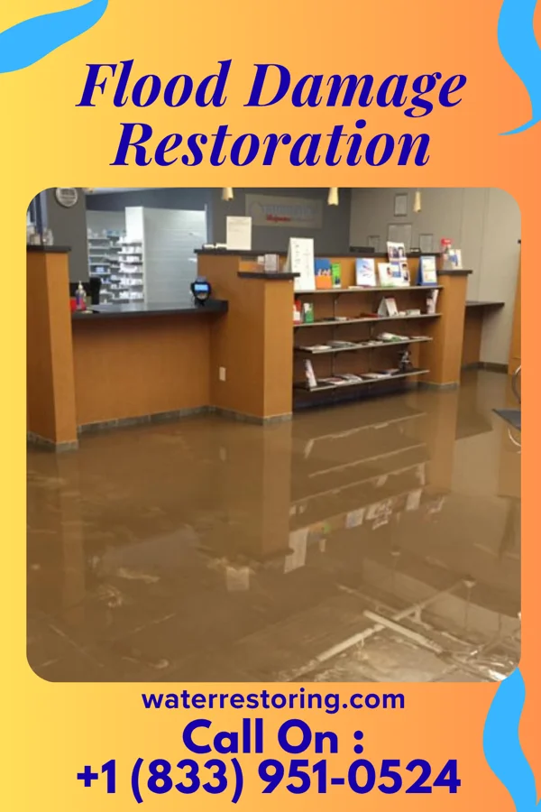 Flood Damage Restoration in Wadena, IA