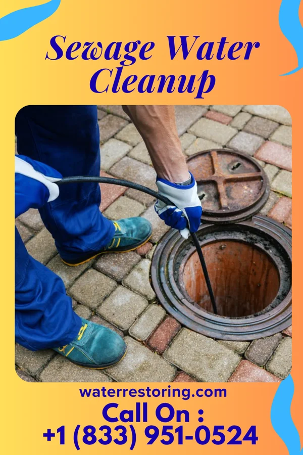 Sewage Water Cleanup in Wadena, IA
